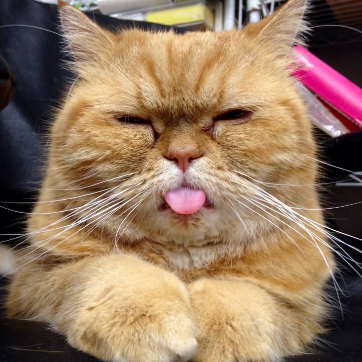 C7c52697 dd98 4bd3 bb24 30a49c13a8a1