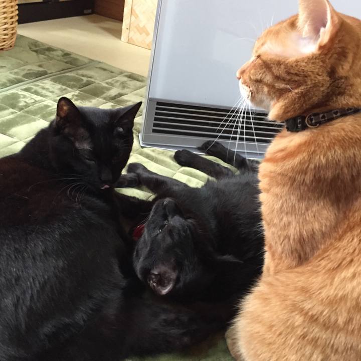 C7c544b3 71e9 46ec 97b6 8204ec571a38