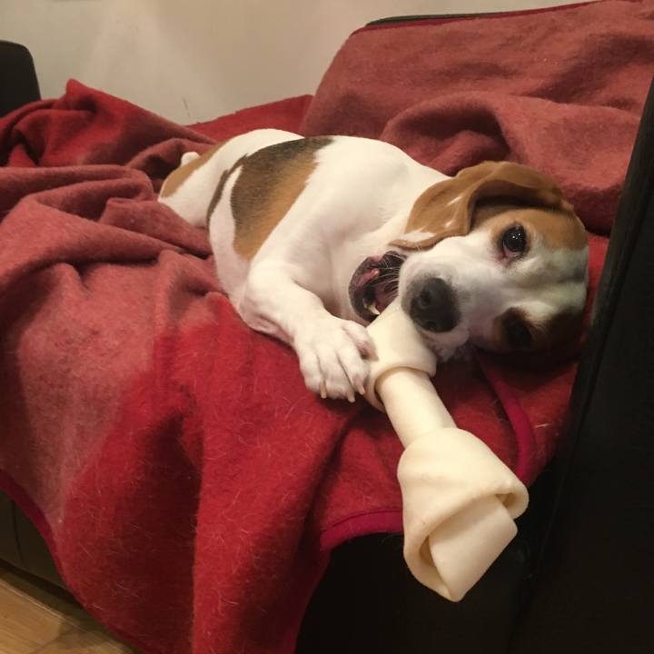 C7c72b77 d03e 4d03 a4ea f6ef57f325cf