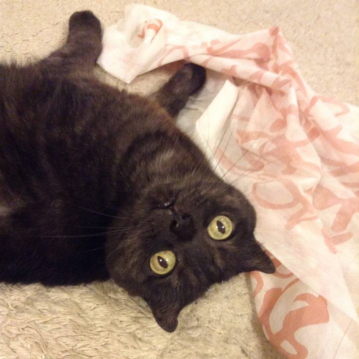 C7c891c4 ed29 4252 8ad3 ce4ea03140bf