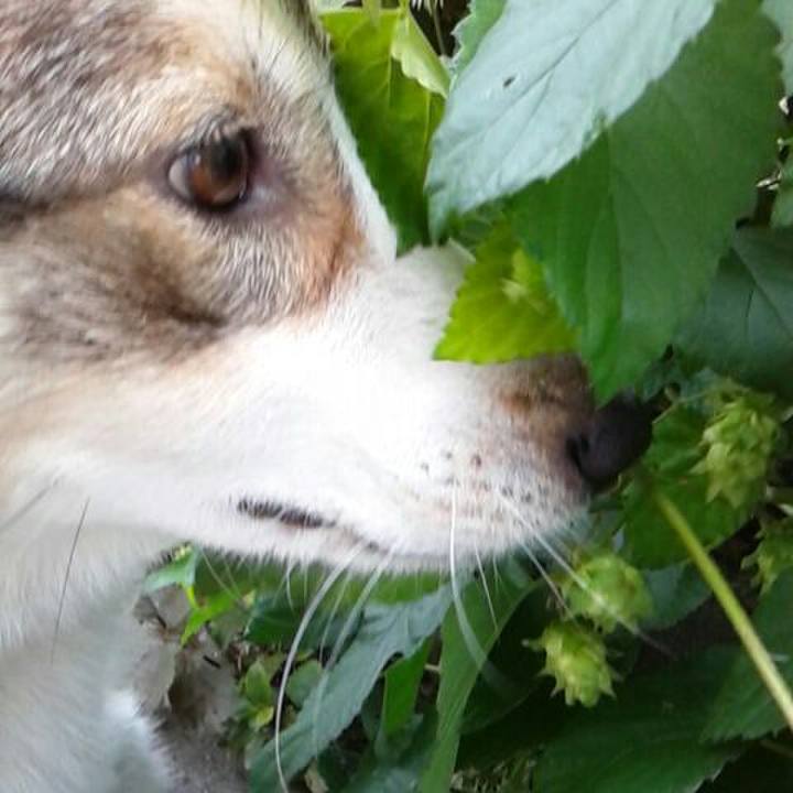 C7c95758 19b2 416c 8592 6a9b49d4dd0b