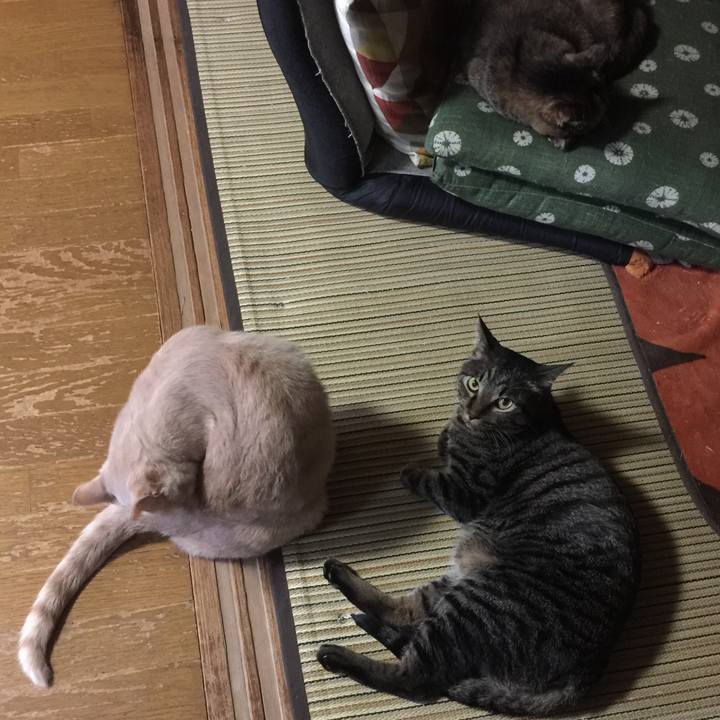 C7ca14fc 3f7a 4f3a b4ed f1034af573f3