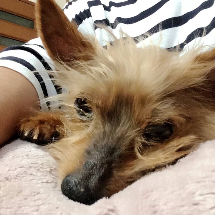 C7ca56bd ba9b 41c1 abc7 31b623c5ae68