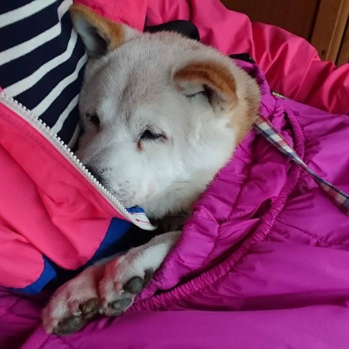 C7cb19ff ea26 488a 9852 2f555547ae78