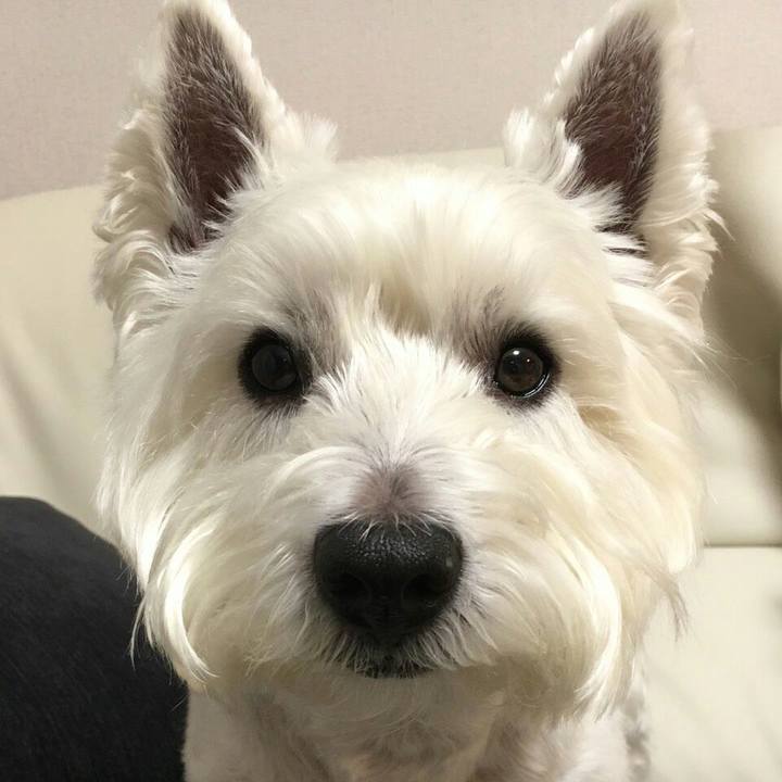 C7cbb1c9 fec8 4972 838a 382c28fb35e4