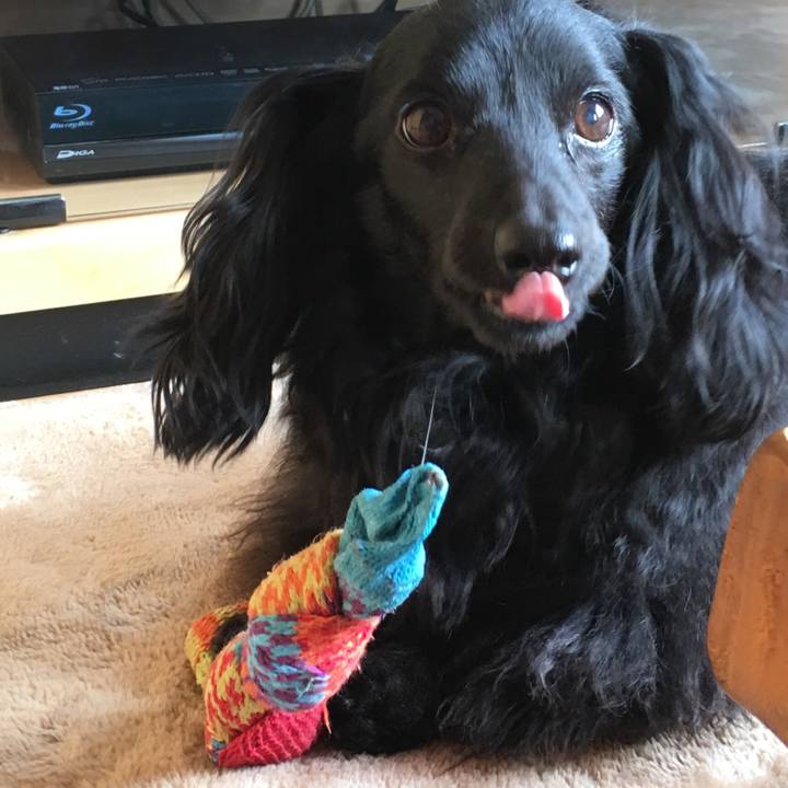 C7cbdeca 7e2b 43f4 9e07 2d6252503a0e