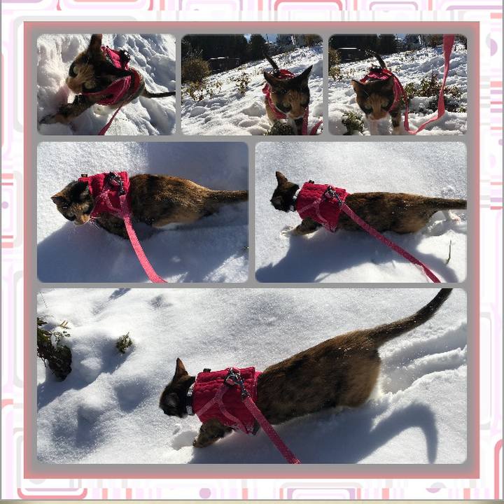 C7cc0ac7 0cb7 4158 a16a e08ef883edc6