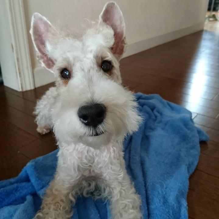 C7ccd880 fe0e 4b46 8b31 c80ce11aafcf