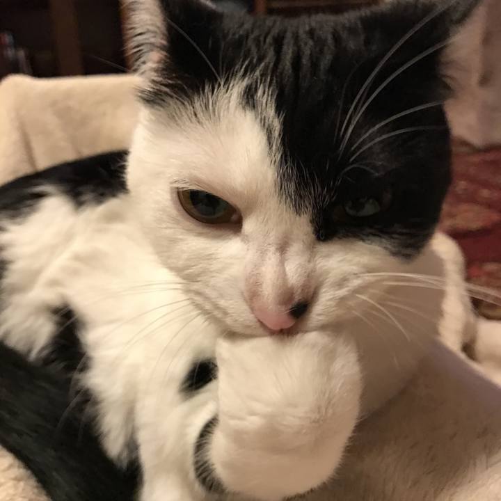 C7cd170a 7b32 41a3 b095 4ac8b34840f9