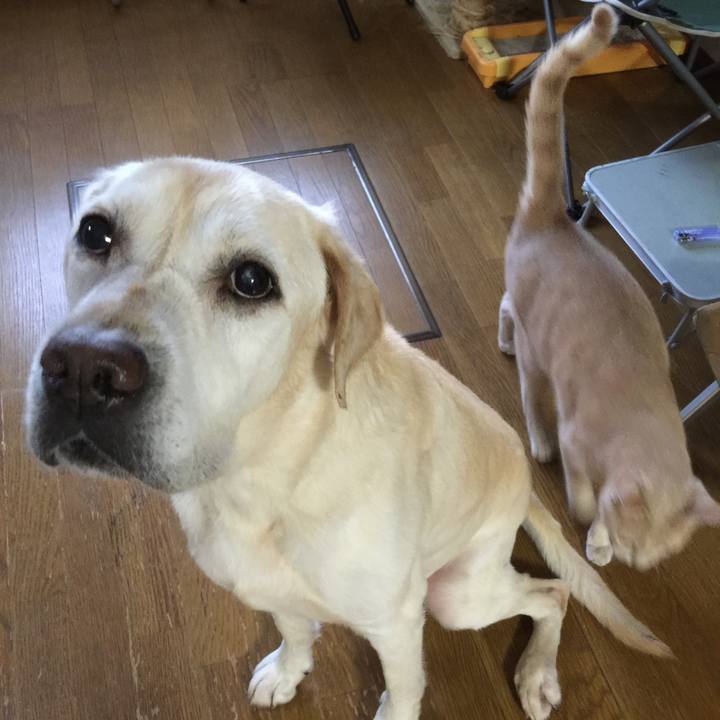 C7cd33bc 83e9 4daf 9dc6 dadbc37979cb