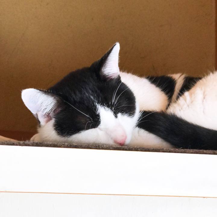 C7cd50e2 7d44 4dc3 b2be 3601c9ed7b4c