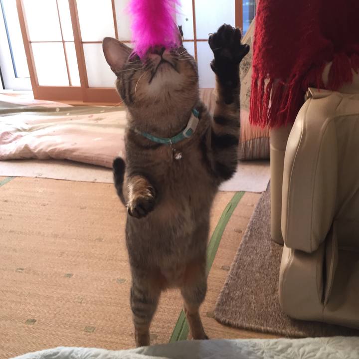 C7cd6d80 2224 4df1 a935 8f3b5e6affdb