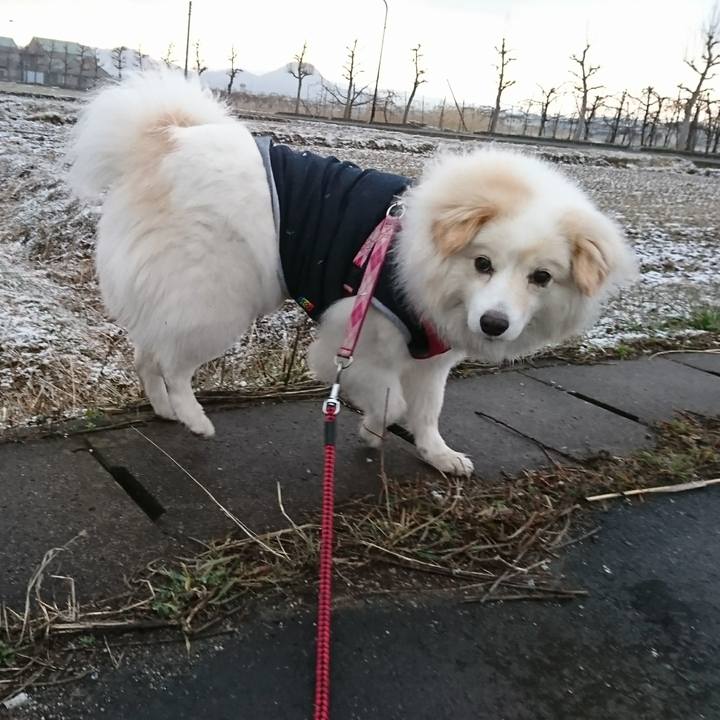 C7cdcabb 74ad 41ed 85d4 e6187d70085e