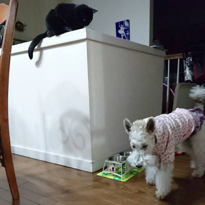 C7ce5ab4 dd12 45f0 aaf9 22ab51c52472