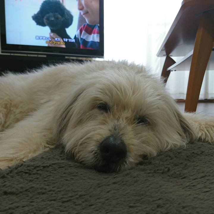 C7ce5df9 296b 420e b4d1 6fc47576b16e