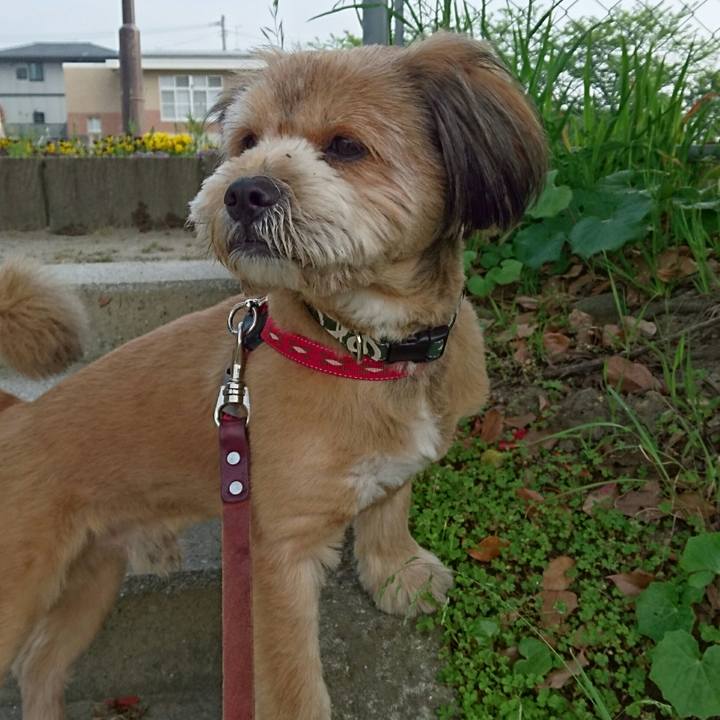 C7ce91f4 716a 4c77 915c 28467b6db554