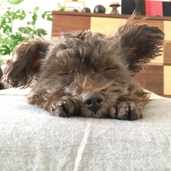 C7ce93ae 34a3 4d8b bfa5 827f4c004f94