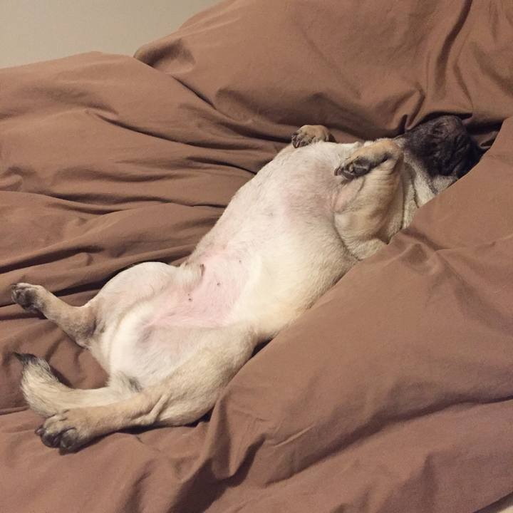 C7cea30b 77c9 4261 bbf9 b6f89cbdc878