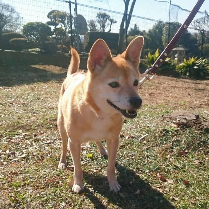 C7ceb67d 15de 4fdc b9bf ac477206d28f