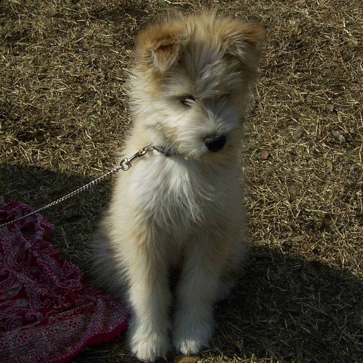 C7cfb710 bb47 4a2e a3ba 09f0e0181ac0