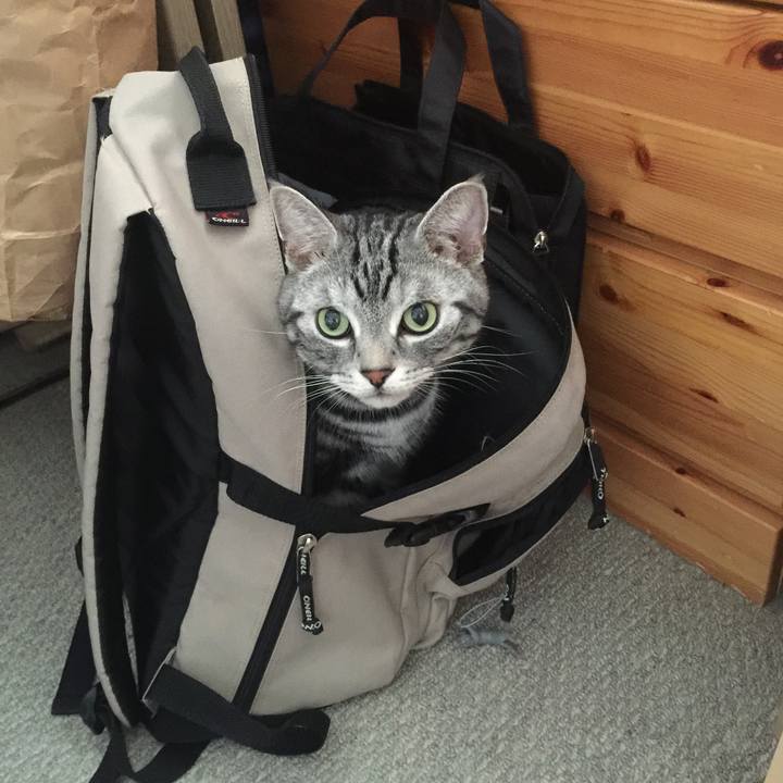 C7d0ab80 69a6 4166 803f 8b02dcb4d563