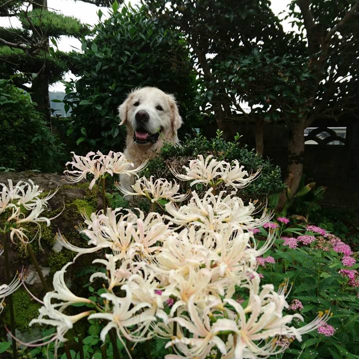 C7d0b410 c3b8 42d7 844b 493771552ab5