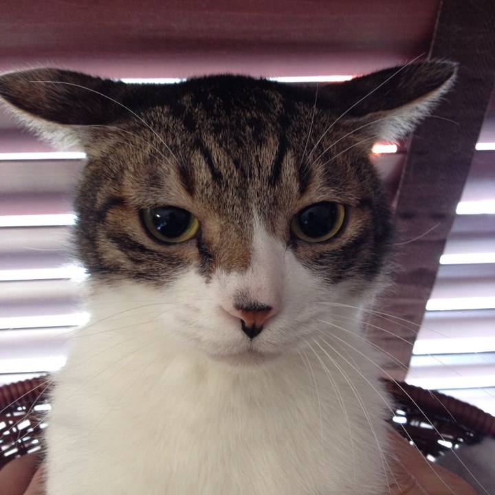 C7d0dcdd eeb1 4056 80ba 9eedd6ec2345