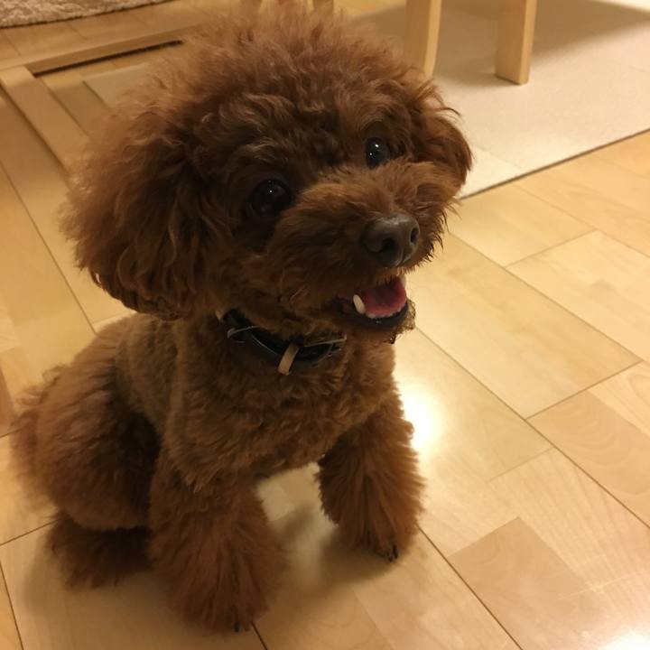 C7d1075a c8cb 4c65 bac5 721f73429218