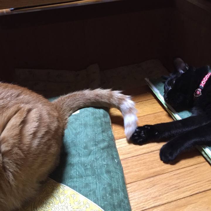 C7d1160b 610a 4013 9128 672f0201f02d