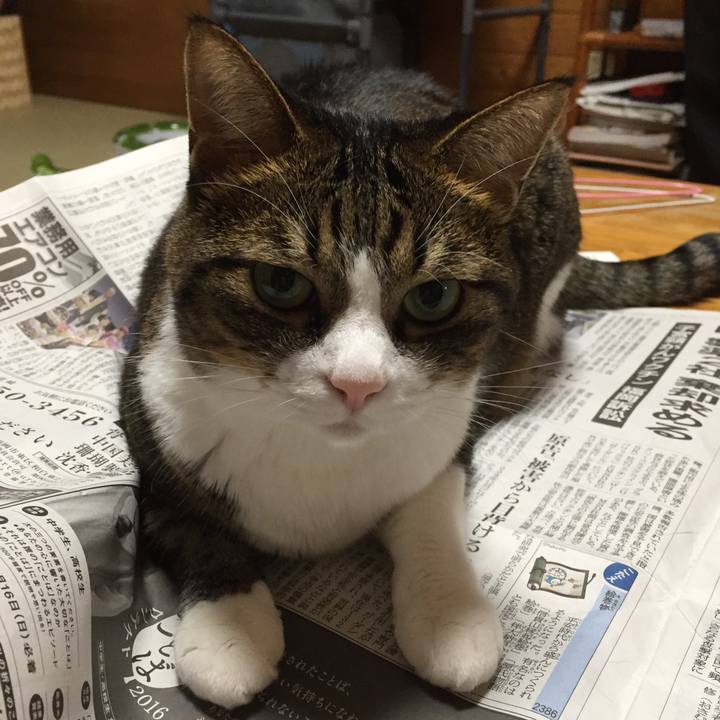 C7d19e62 98a5 438f 961d 261eeca31662