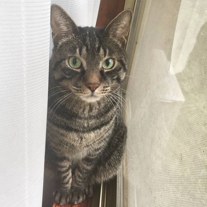 C7d228e8 893a 48ca 98dd f7a6ee1ef4a1