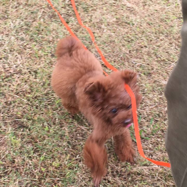 C7d28cf0 68dc 4a8c 898b 0d655657ab01