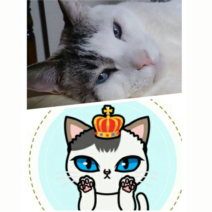 C7d3eb13 bb76 4493 b573 c2f17725e68e