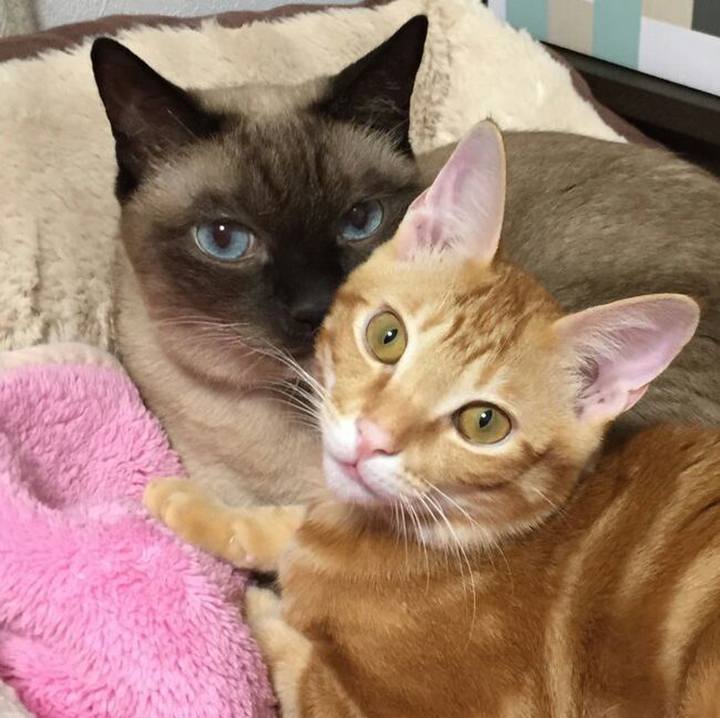 C7d3ec0f c1a5 4209 936f 1060d775c864