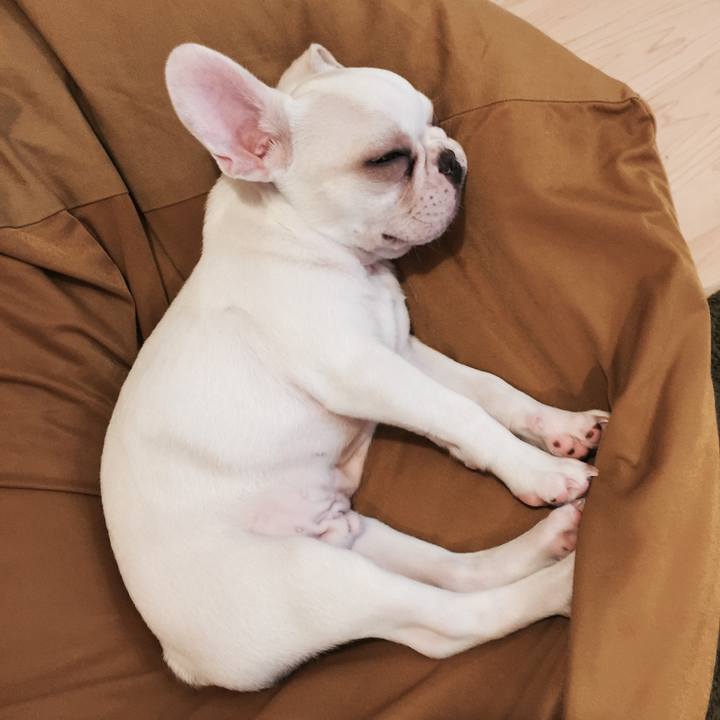 C7d498d0 0cdd 4edf 889b 593459a06c17