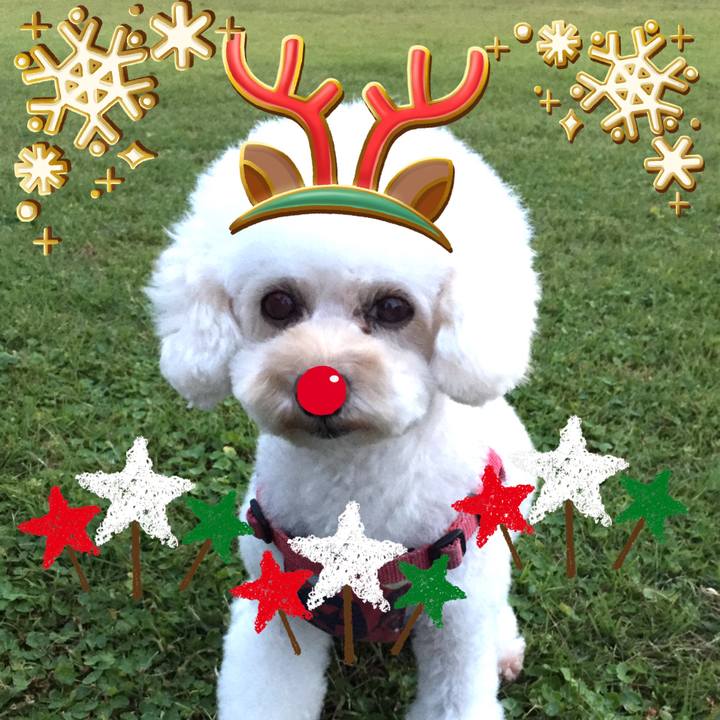 C7d54cf5 cf4a 4129 84a5 03d2cf6f3ab7