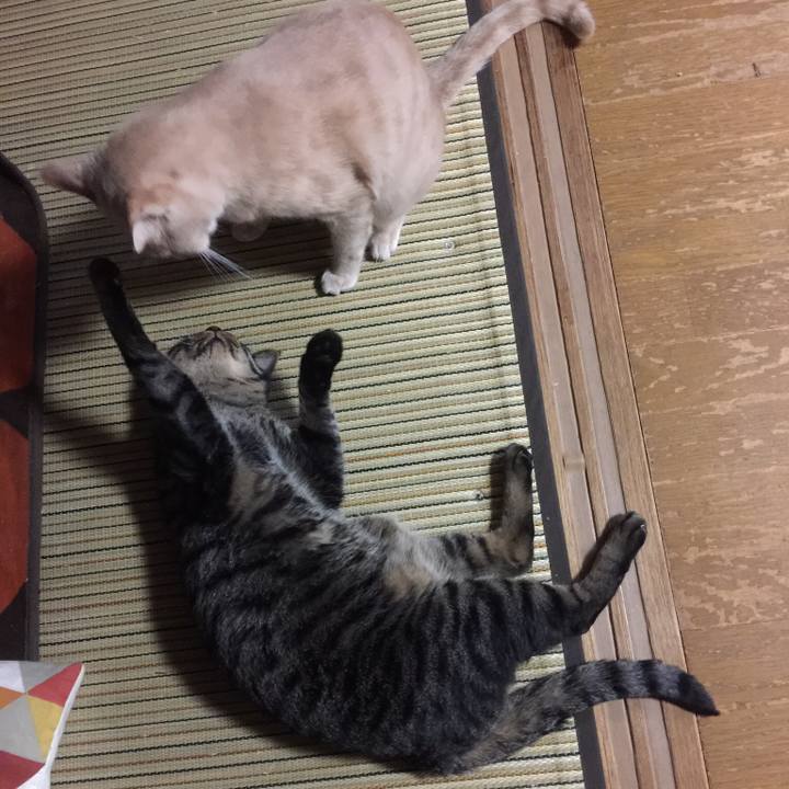 C7d5f6f2 0928 4b0b 9fd9 d188c6633a06