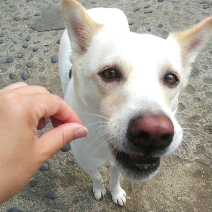 C7d65a6b cf15 4c1d acde 1932d7831b4a