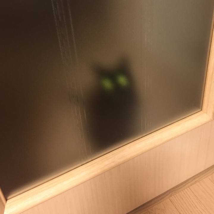 C7d66edf 9971 4e6a b7a8 babc4bbca39e