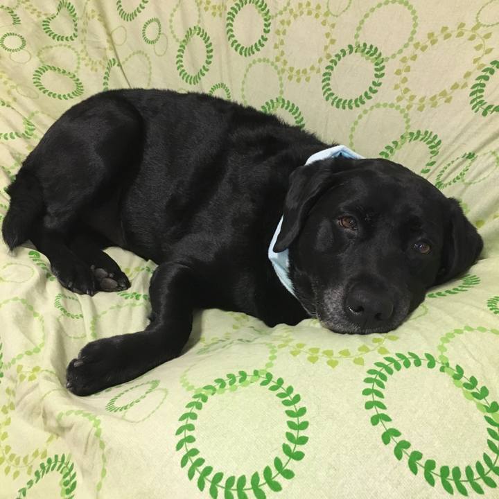 C7d7176b a183 4f78 87dc 15fca27bbbbd