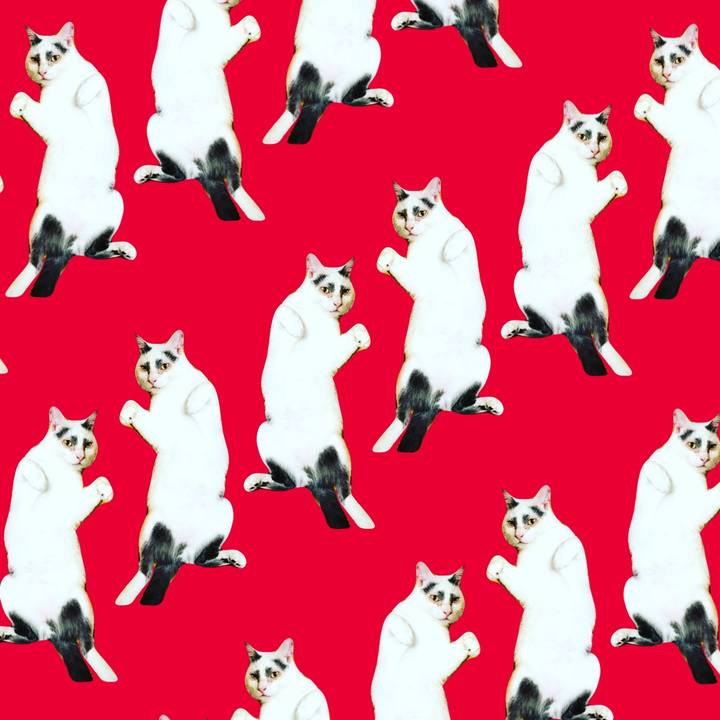 C7d7b2bc 03a5 4d19 87cb 3c92863b0511