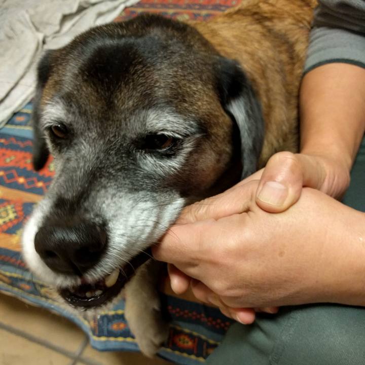 C7d7f290 8190 47cc b77b 4af9cd5a2109