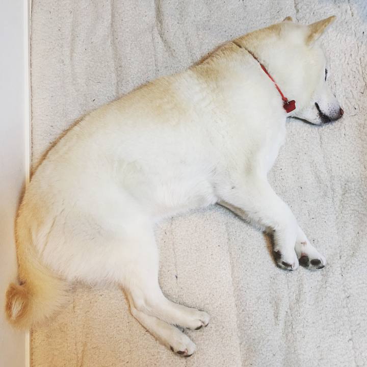 C7d80aac 2a17 4b8a bf35 7239b0759ef1