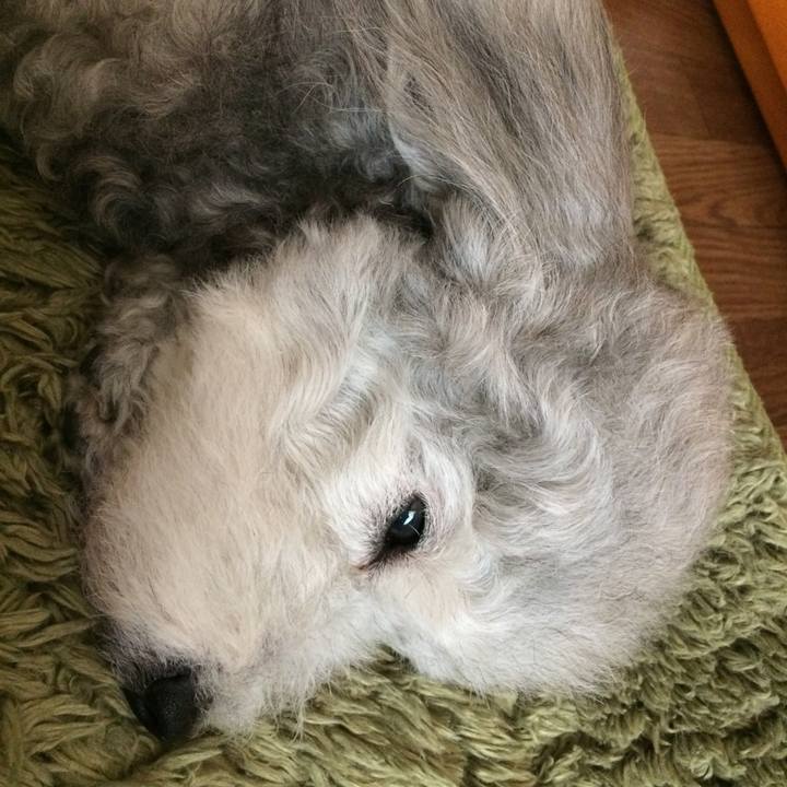 C7d8a8e8 02e5 42e6 9b74 0e107647a6ca