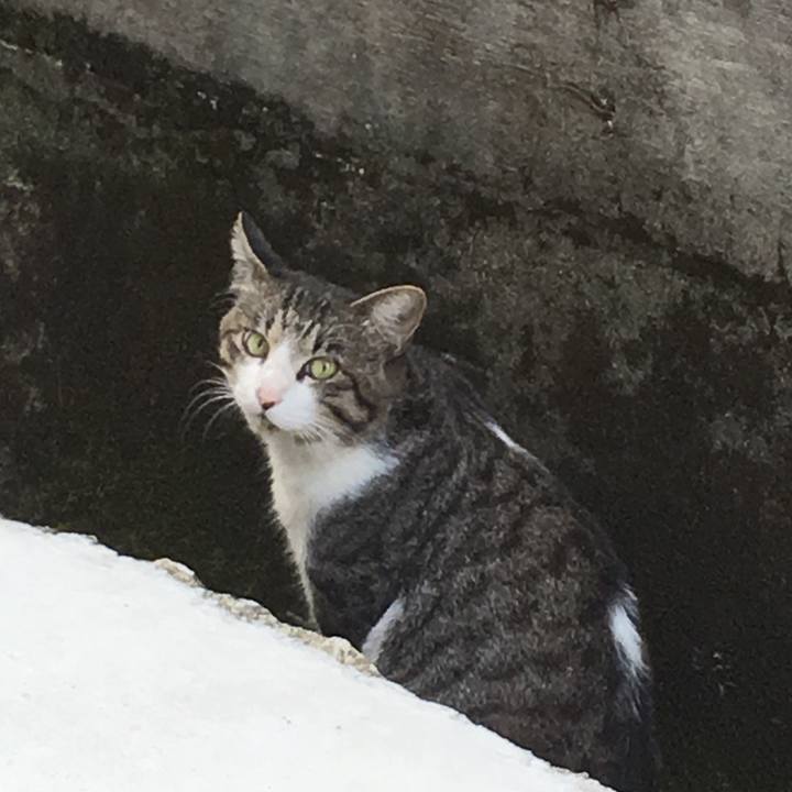 C7d8e999 53c5 4273 a7f8 7b522efb7344