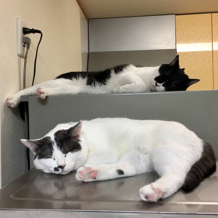 C7d8f6b7 388c 461f a551 6dc88e06df43