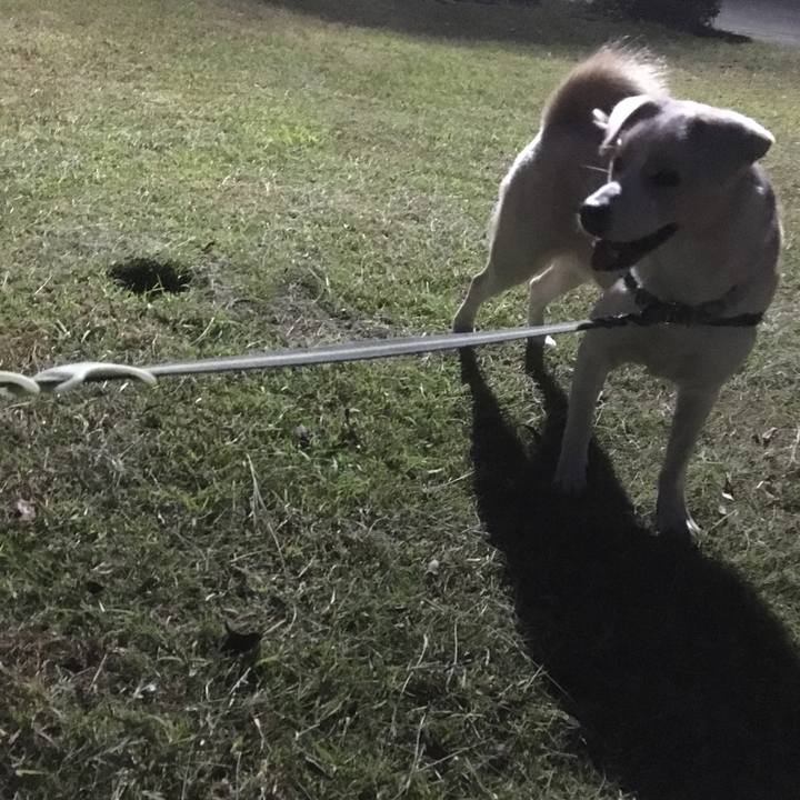 C7d94acf fb51 47bc aa4e 80dec286e49c