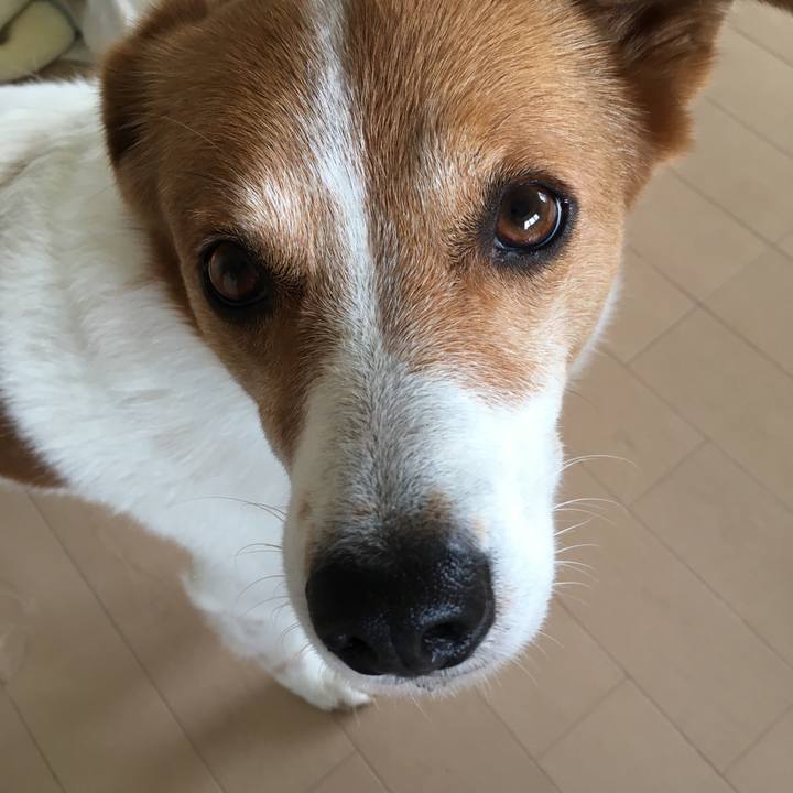 C7d98a46 37bb 48f6 9a1d 67108a512cea