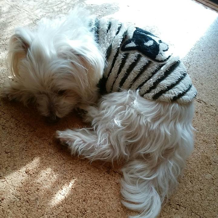 C7d9d05e e2b9 480e 8704 7bd658e87c62