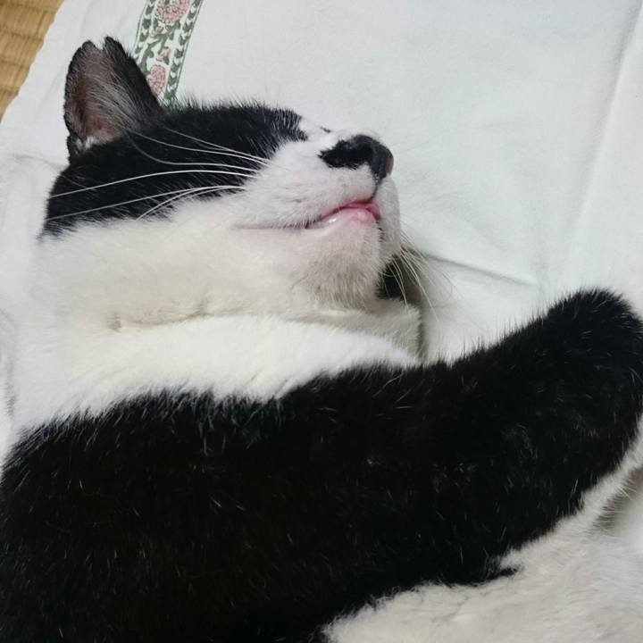 C7da07e9 1d71 4a47 a4ee e84f6c422fd8